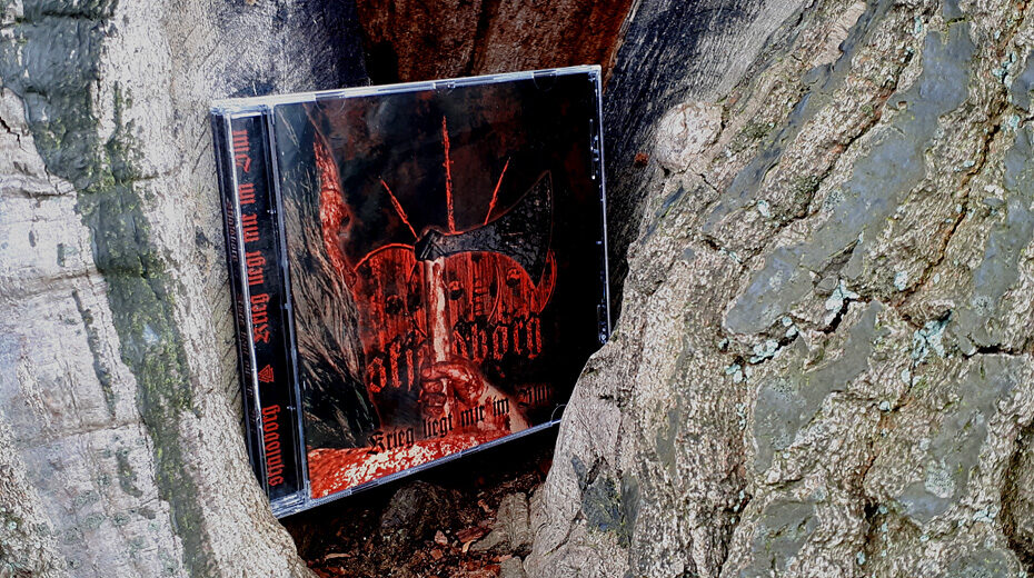 Skjaldborg - Krieg liegt mir im Blut