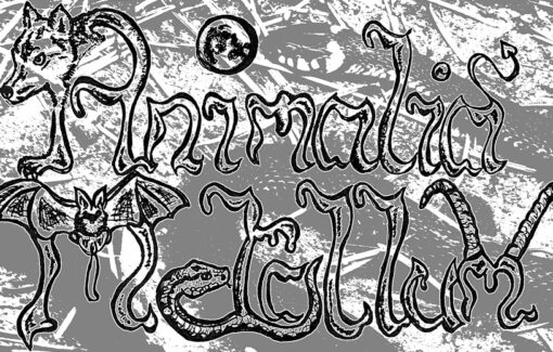 Animalia Metallum Part I