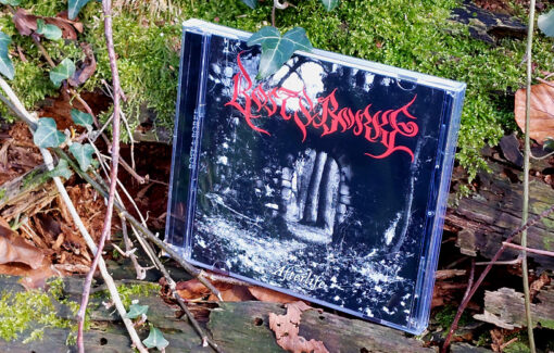 Rost & Borke - Afterlife