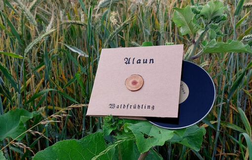 Alaun - Waldfrühling