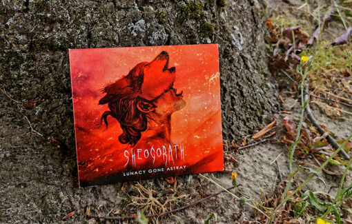 Sheogorath - Lunacy Gone Astray