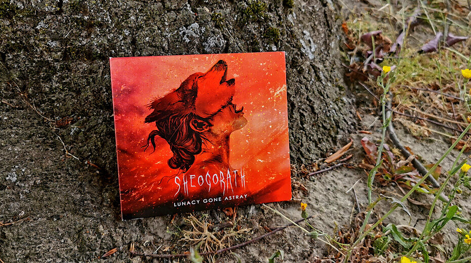 Sheogorath - Lunacy Gone Astray